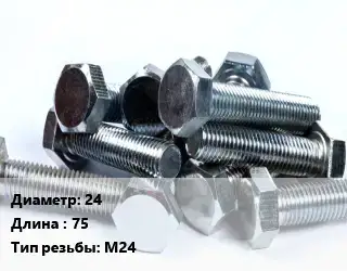Болт 24х75 М24